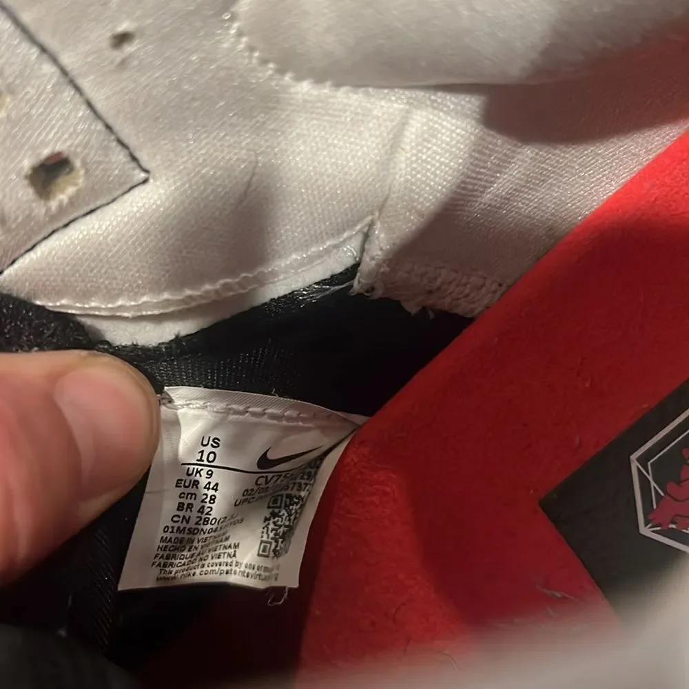 Nike Lebron XVIII 18 Low Heart Of Lion Basketball Shoes CV7562-002 Sz 10 EUC - Picture 7 of 7